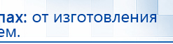 СКЭНАР-1-НТ (исполнение 01 VO) Скэнар Мастер купить в Электроугле, Аппараты Скэнар купить в Электроугле, Дэнас официальный сайт denasolm.ru